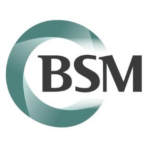 BSM Consulting