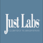 Just Labs Magazine and Blog