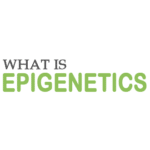 WhatIsEpigenetics