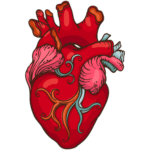 Heartlines Spec