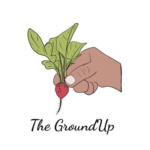 The GroundUp