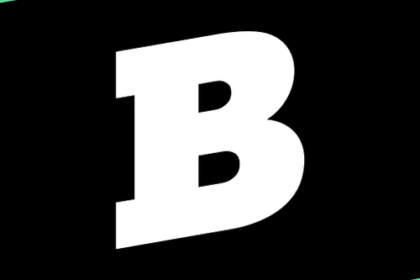 wp-header-logo-313.png