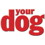 Your Dog Magazine