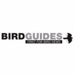 Birdwatch Magazine