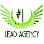 1 Lead Agency