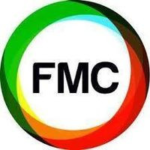 Fostering Media Connections