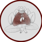 A Velvet Giant