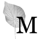 Macaranga
