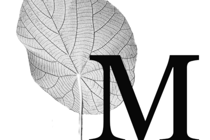 wp-header-logo-89.png