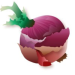 The Shallot