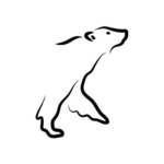 Arctic Research Foundation