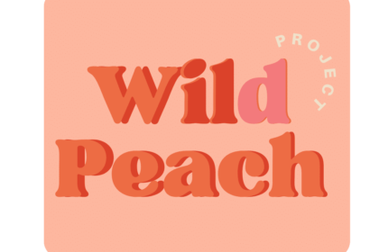 wp-header-logo-55.png