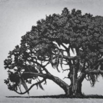 The Southern Review