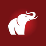 The Elephant