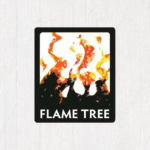 Flame Tree: Latin American Shared Stories