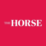 The Horse