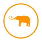 Elephant Journal