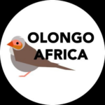 OlongoAfrica
