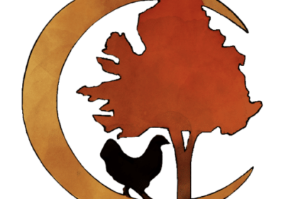 wp-header-logo-5.png