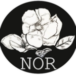 New Orleans Review