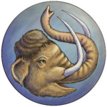 Haven Speculative