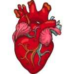 Heartlines Spec