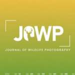 Journal of Wildlife Photography