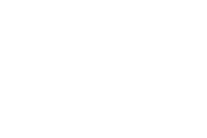 wp-header-logo-110.png