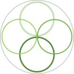 DirectedLink