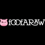 foofaraw zine